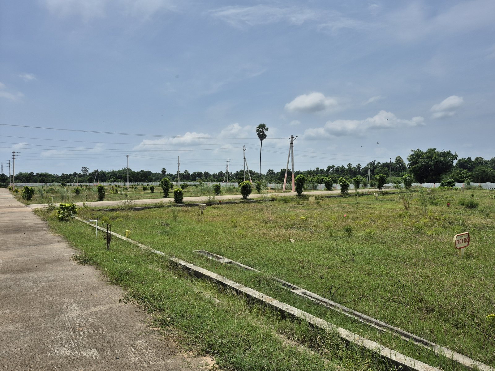 Sree Venkatesam Gated Layout - Site Photo 4
